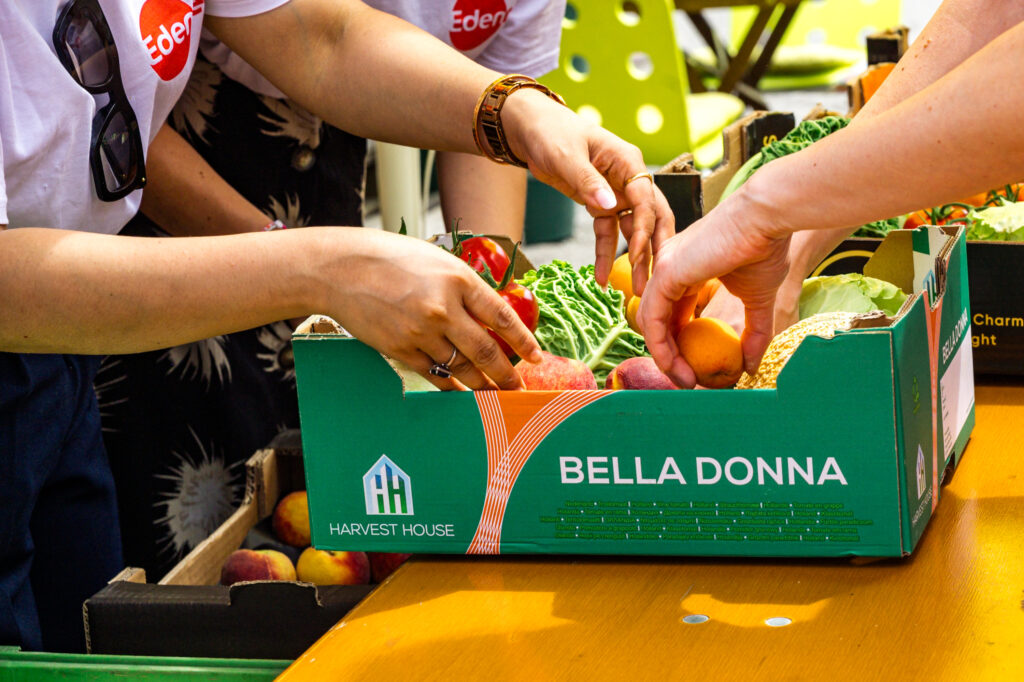 Social Day Des mach ma Edenred Rescue Food Gruene Tomaten Fotografin Andrea Muehleck 2 Des mach ma.